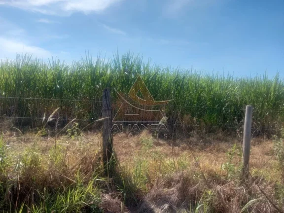 Imagem Sítio - Santo Antônio da Alegria - Zona Rural
