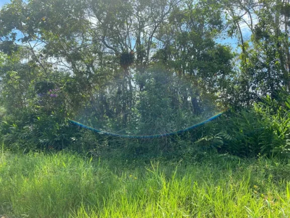 Imagem Terreno para Venda em Itanhaém, Jardim Luiza Mar Mirim