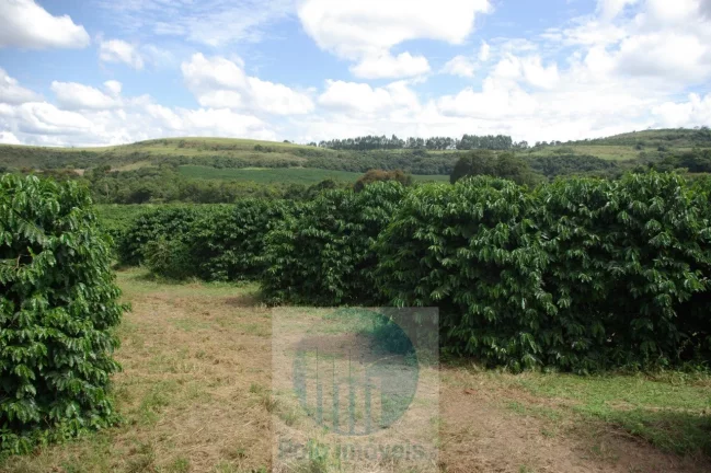 Imagem Fazenda com 140.000 pés de café produzindo, a 20 km de Jacuí Minas Gerais, casa de caseiro, energia e água.