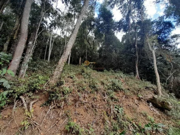 Imagem Terreno para Venda em Teresópolis / RJ no bairro Posse
