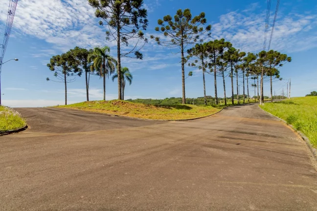 Imagem Terrenos em condomínio próximo ao Passauna