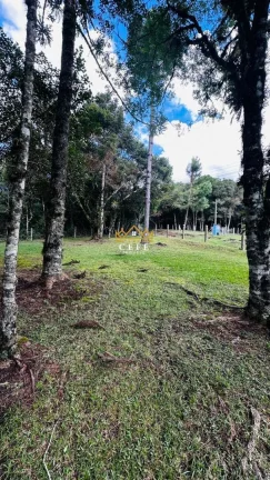 Imagem Chácara - Sítio com 3 Dormitorio(s) localizado(a) no bairro Vila Mina em Canela / RIO GRANDE DO SUL Ref.:1562