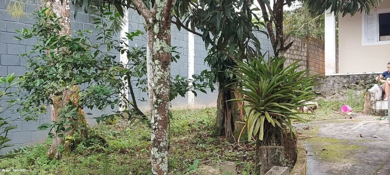 Imagem Casa para Venda em Itanhaém, Umuarama, 3 dormitórios, 2 banheiros, 5 vagas