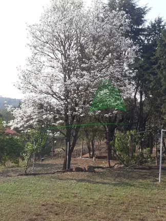 Imagem Chácara Condomínio para Venda em Limeira, PIRES, 2 dormitórios, 2 banheiros, 1 vaga