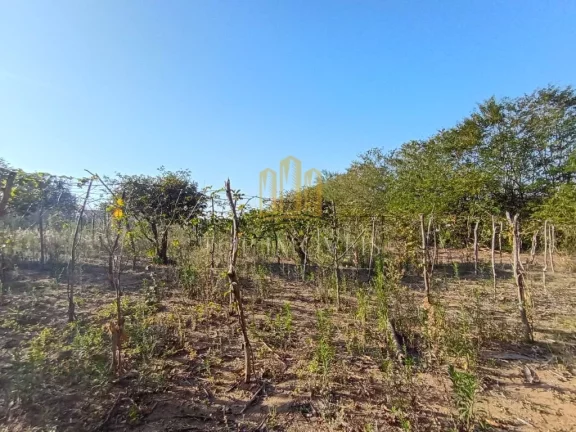 Imagem Ótimo Terreno Piedade Caçapava Frente para Carvalho Pinto 6.500m² Faz Incorporação 90%