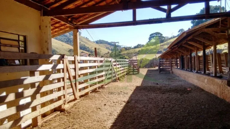 Imagem FAZENDA GADO NELORE COM 100 ALQUEIRES em Cambui MG