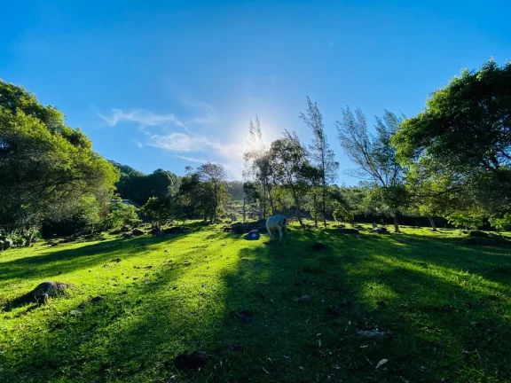 Imagem Terreno à venda em Paulo Lopes-SC, bairro Gamboinha, com 20.996,47 m² de área - Oportunidade única!