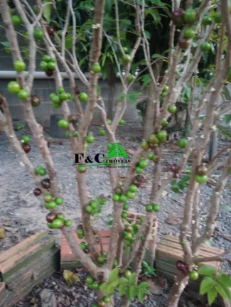 Imagem Chácara para Venda em Limeira, Área Rural de Limeira, 2 dormitórios, 1 suíte, 1 banheiro, 3 vagas