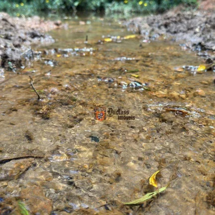 Imagem Área à venda, 13 alqueires paulista por R$ 5.300.000 - São Mateus - Camanducaia/MG
