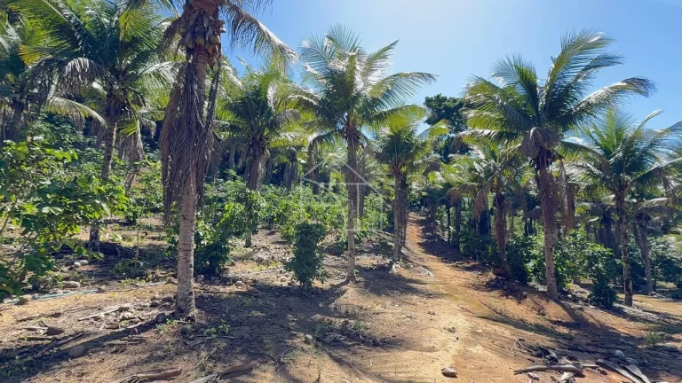 Imagem Sítio com Casa à venda, 100.614,00 m², Timbuí - Fundão/ES