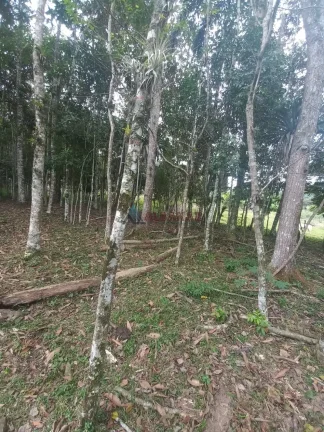 Imagem Terreno à venda no bairro Oliveira - Tijucas/SC