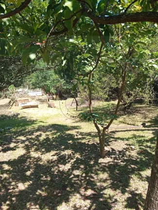 Imagem Chácara à venda em Campinas, Jardim Monte Belo, com 2 quartos, 110m2