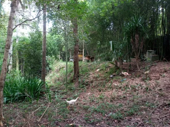 Imagem Área à venda, 1511450 m² por R$ 1.600.000,00 - Estância São Luís - Suzano/SP