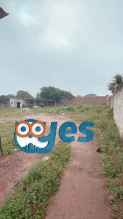 Imagem Galpão comercial no Cis - Tomba para Locação