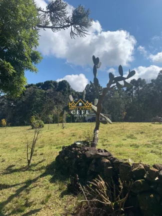 Imagem Chácara - Sítio com 3 Dormitorio(s) localizado(a) no bairro Linha Tapera em Gramado / RIO GRANDE DO SUL Ref.:1515
