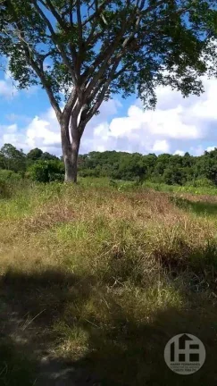 Imagem Chácara à venda com 8 hectares em Aldeia