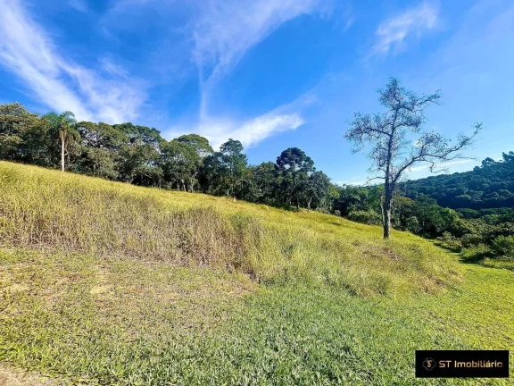 Imagem Área à venda em Terra Preta Mairiporã/SP - 48.000m² Próxima à Rodovia!