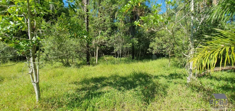 Imagem AREA RURAL em ESMERALDAS - MG, ÁREA RURAL DE ESMERALDAS