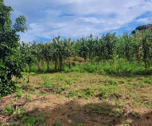 Imagem SITIO RURAL em MONTE MOR - SP, centro
