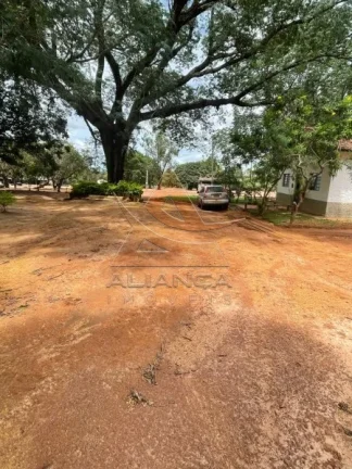 Imagem Fazenda - João Pinheiro - João Pinheiro