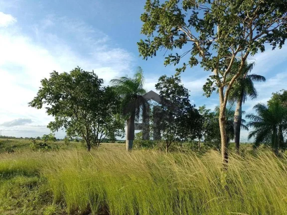 Imagem Lotes de 800m² à venda em Tracunhaém-PE