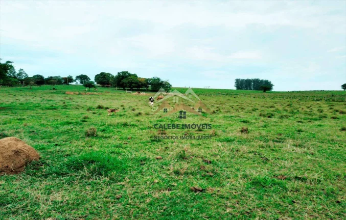 Imagem Chácara com 3 dormitórios à venda, 36000 m² por R$ 550.000,00 - Rio da Várzea - Cesário Lange/SP