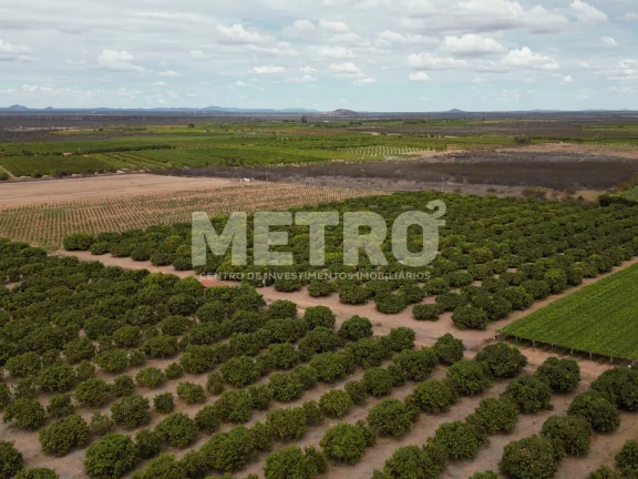 Imagem Lote de 15 hectares, escriturado e quitado na CODEVASF, PETROLINA - PE