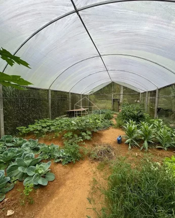Imagem Sítio à Venda em Marechal Floriano – Montanhas Capixabas