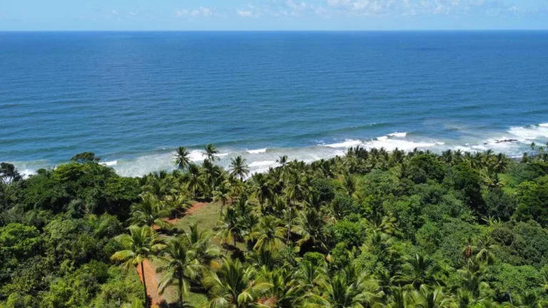 Imagem Natureza Serra Grande