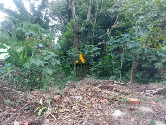 Imagem Estrada dos Bandeirantes - Bosque dos Eucaliptos - excelente lote para construir