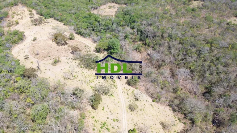 Imagem Fazenda 19 Alqs para Cria em Hidrolândia/GO