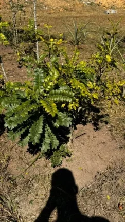 Imagem Terreno à venda, 2 m² por R$ 270.000,00 - Centro - Igaratá/SP