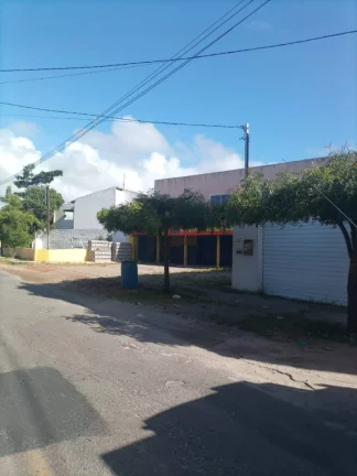 Imagem Casa de Rua no Mosqueiro à Venda - Confira os Detalhes!