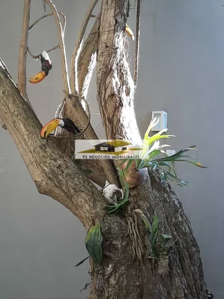 Imagem Sobrado Alto Padrão no Jd da Saude