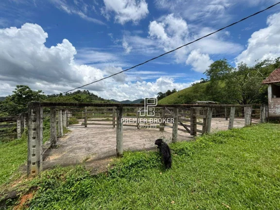 Imagem FAZENDA PECUARISTA À VENDA.