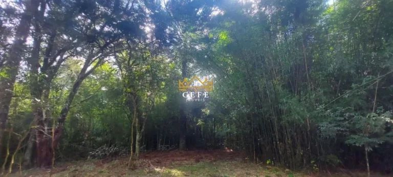 Imagem Chácara - Sítio com 1 Dormitorio(s) localizado(a) no bairro Recosta em São Francisco de Paula / RIO GRANDE DO SUL Ref.:1538
