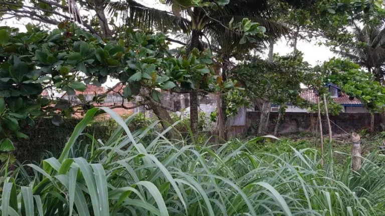 Imagem Terreno para Venda em Itanhaém, Jardim Luiza Mar Mirim