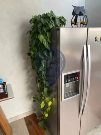 Imagem Imperdível! Apartamento para venda em São Paulo-SP, Cambuci, 3 quartos, 1 suíte, 1 sala, 3 banheiros, 195m². Venha conferir!