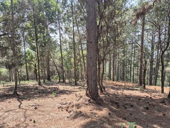 Imagem Condomínio de Chácaras Fazenda Elisa – Atibaia