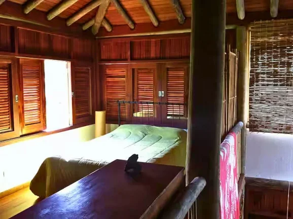 Imagem São Bento: O Charme do Eucalipto e a Praticidade do Asfalto