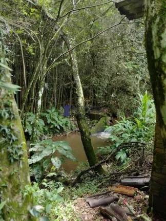 Imagem ÁREA RURAL COM 6.957,50M² EM BALSA NOVA