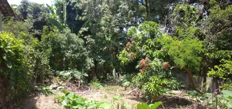 Imagem Casa à venda, 3 quartos, 1 vaga, CENTRO - Santa Luzia/MG