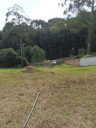 Imagem Chácara à venda em Piraquara, próxima ao Novo Projeto do Santuário Terra Prometida, do Padre Reginaldo Manzotti!!!