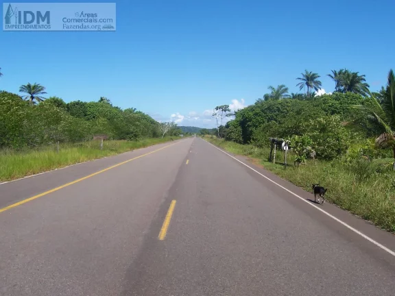 Imagem 400.000 m² com 500 m de frente ao Mar em Ilhéus - BA