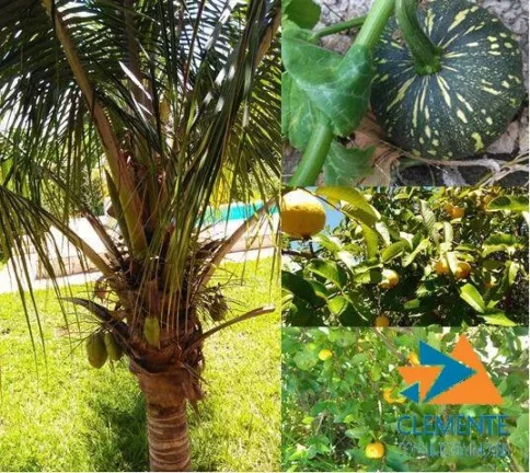 Imagem CASA E SITIO CONDOMINIO ESTANCIAS DA MATA LAGOA SANTA/JABOTICATUBAS MG