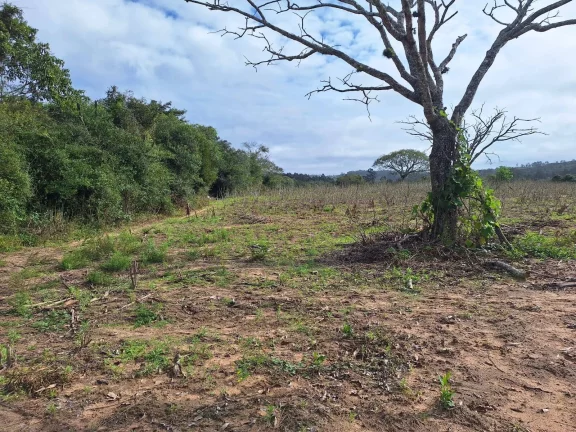 Imagem Sítio à venda, com 1 hectare, açude, no Passo da Areia - Viamão/RS