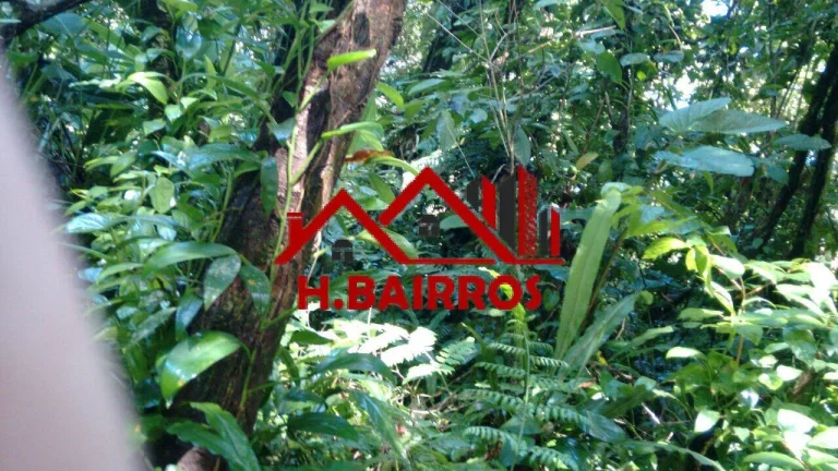 Imagem Terreno 30.000m à Venda na Praia de Maresias - São Sebastião SP.