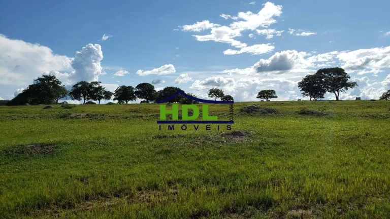 Imagem Fazenda com 351 Alqs dupla Aptidão em Piranhas/GO