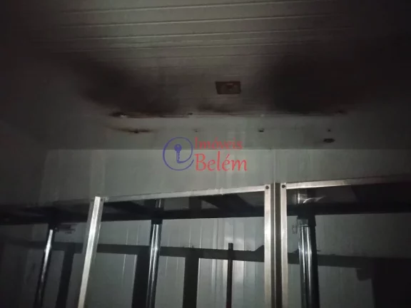 Imagem Imóveis Belém Aluga Galpão c/ câmara fria na Pedreira Imagem Imóveis Belém Aluga Galpão c/ câmara fria na Pedreira