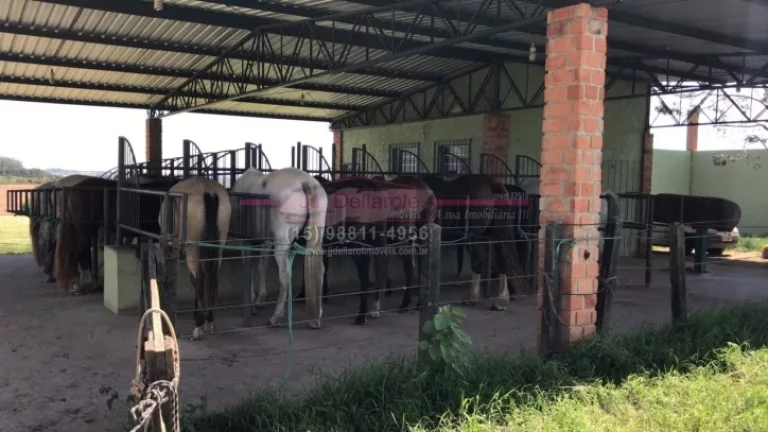 Imagem Venda de Haras com 08 alqueires